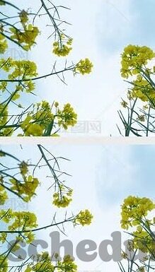 澳门开赌场牌照-澳门，赌场牌照的独家魅力与未来展望