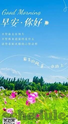 足球巴西队比分-巴西队，绿茵场上的比分传奇，足球王国的荣耀征程