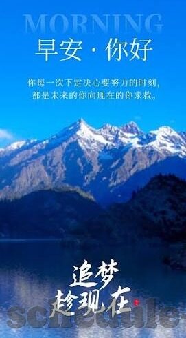 足球比分大师-足球比分大师，绿茵场上的数据预言家